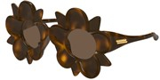 Nákup nebo zvětšování tohoto obrazu, Bottega Veneta BV1399S-008.