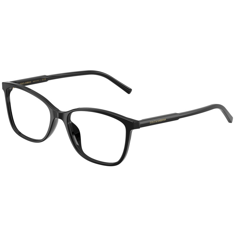 DOLCE E GABBANA 0DG3424-501