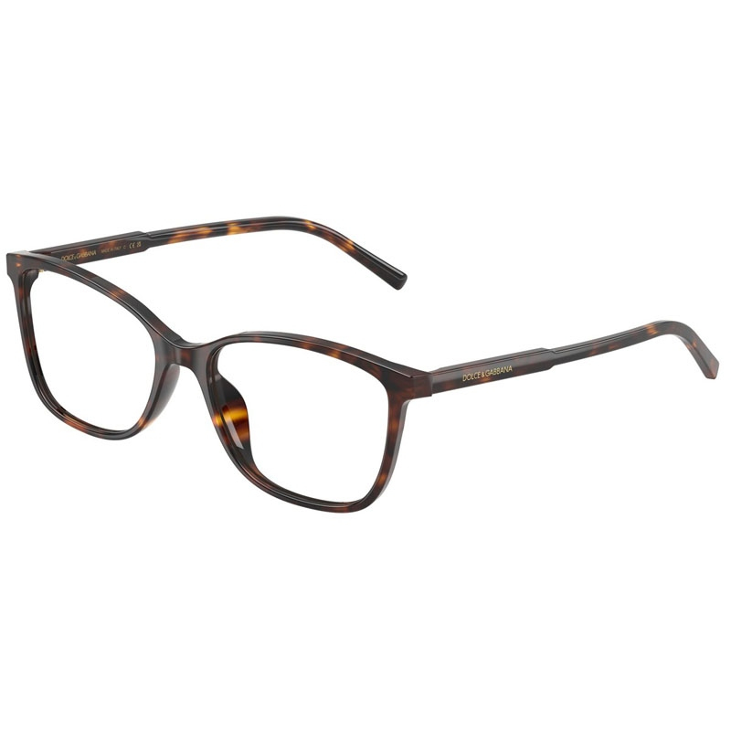 DOLCE E GABBANA 0DG3424-502