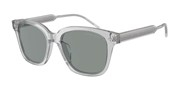 Giorgio Armani 0AR8210U-608056