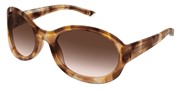Nákup nebo zvětšování tohoto obrazu, Gucci GG2012S-016.