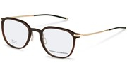 Porsche Design Model: P8785-C000