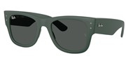 Nákup nebo zvětšování tohoto obrazu, Ray Ban 0RB4840S-665787.