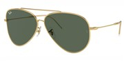 Ray Ban 0RBR0101S-001VR