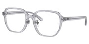 Nákup nebo zvětšování tohoto obrazu, Ray Ban 0RX5424D-8415.