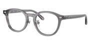 Nákup nebo zvětšování tohoto obrazu, Ray Ban 0RX5443D-8268.