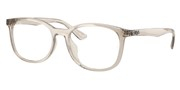 Nákup nebo zvětšování tohoto obrazu, Ray Ban 0RX7093D-8271.