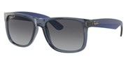 Ray Ban RB4165-6596T3