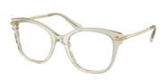 Nákup nebo zvětšování tohoto obrazu, Swarovski Eyewear 0SK2044-3003.