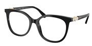 Swarovski Eyewear 0SK2055-1001