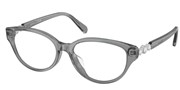 Swarovski Eyewear 0SK2058D-1062