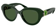 Swarovski Eyewear 0SK6037-102671