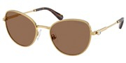 Swarovski Eyewear 0SK7032-400473